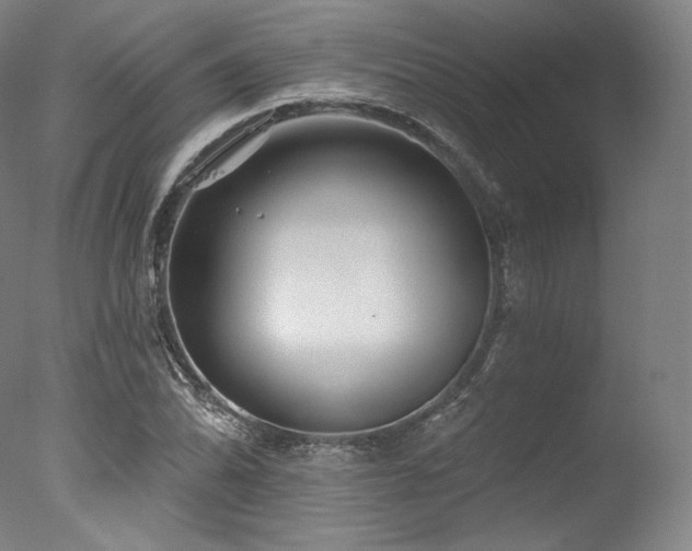 X0000077371070200610201343