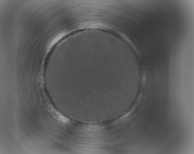 X0000077371071200610201342