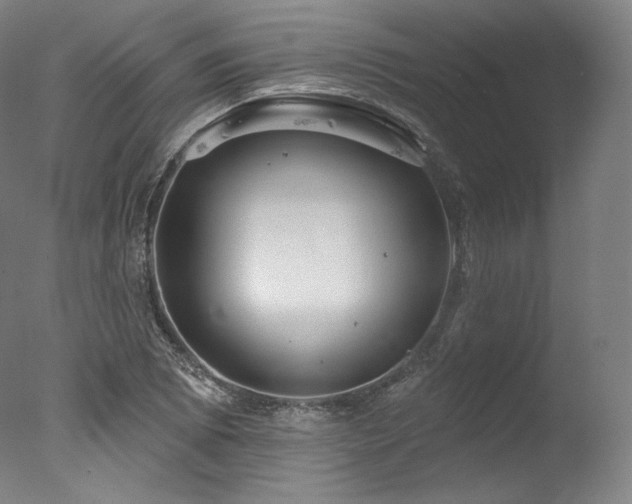 X0000077371073200610201342