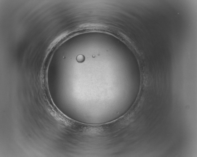 X0000077371074200610201342