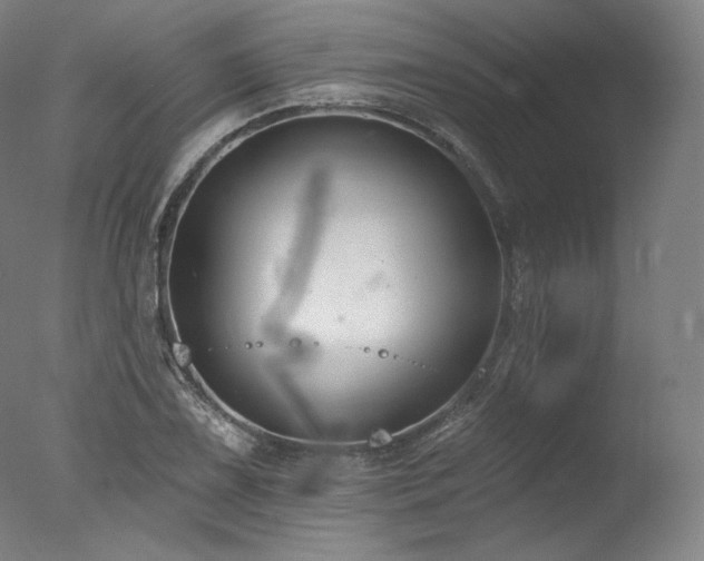 X0000077371075200610201342