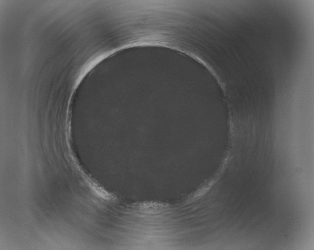 X0000077371077200610201342