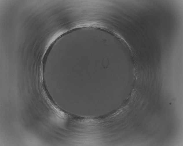 X0000077371079200610201342