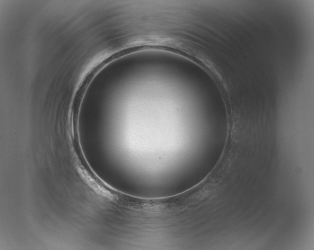 X0000077371080200610201342