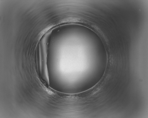 X0000077371081200610201342