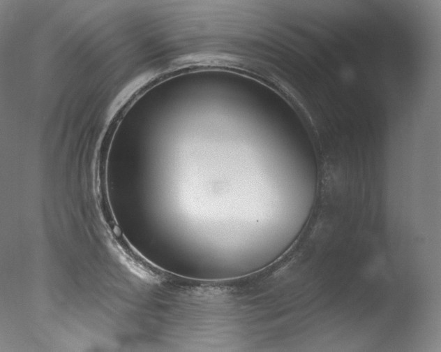 X0000077371082200610201342