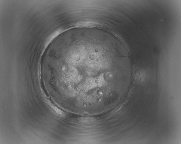 X0000077371083200610201342