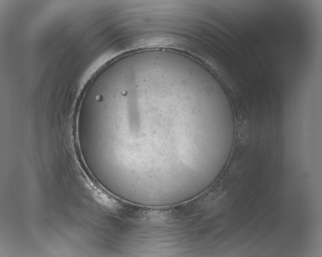 X0000077371086200610201342