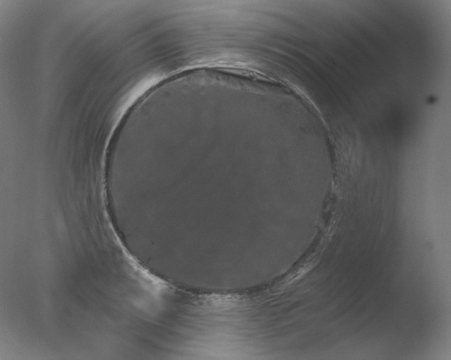 X0000077371087200610201342