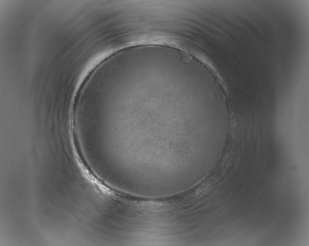 X0000077371088200610201342