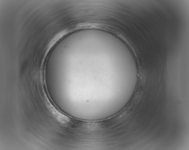 X0000077371090200610201342