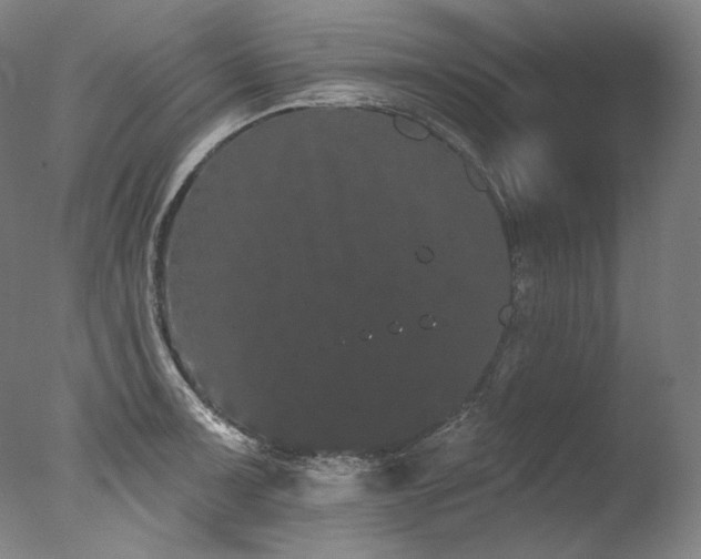 X0000077371091200610201342