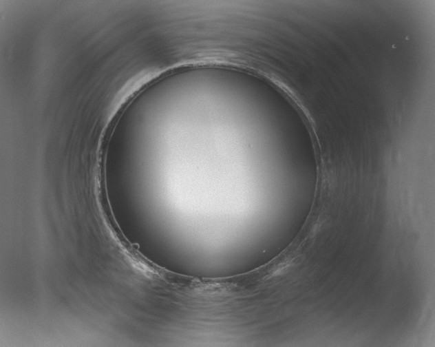 X0000077371093200610201342