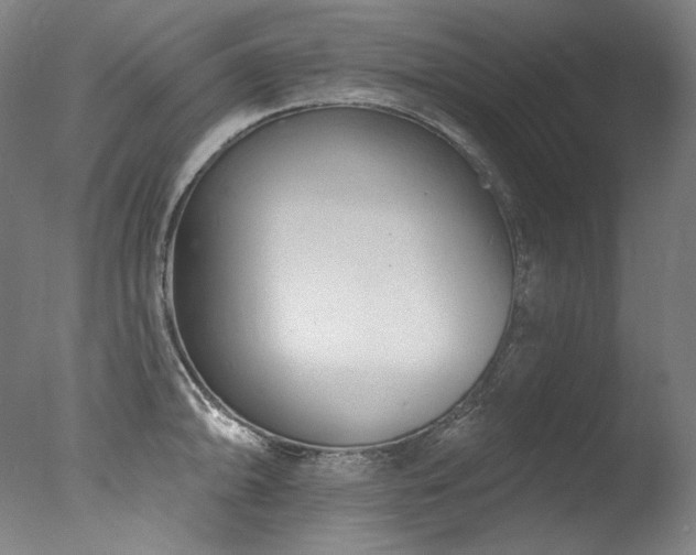 X0000077371094200610201342