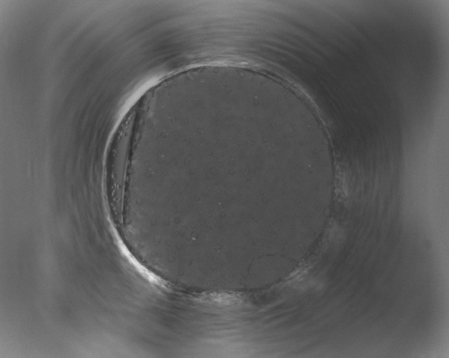 X0000077371095200610201342