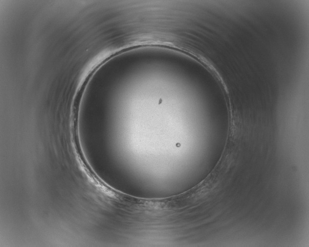 X0000077371096200610201342