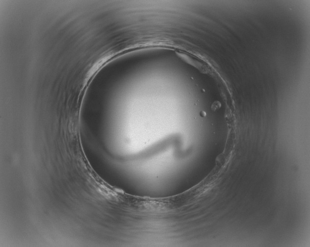 X0000077371097200610201342