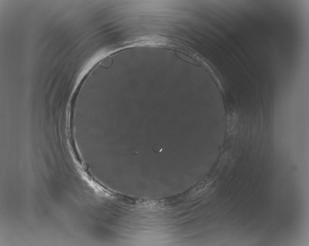 X0000077371099200610201342