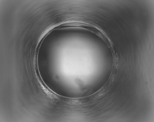 X0000077371101200610201342