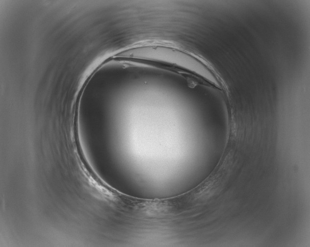 X0000077371102200610201342