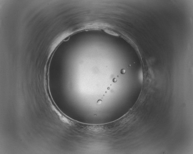 X0000077371103200610201342