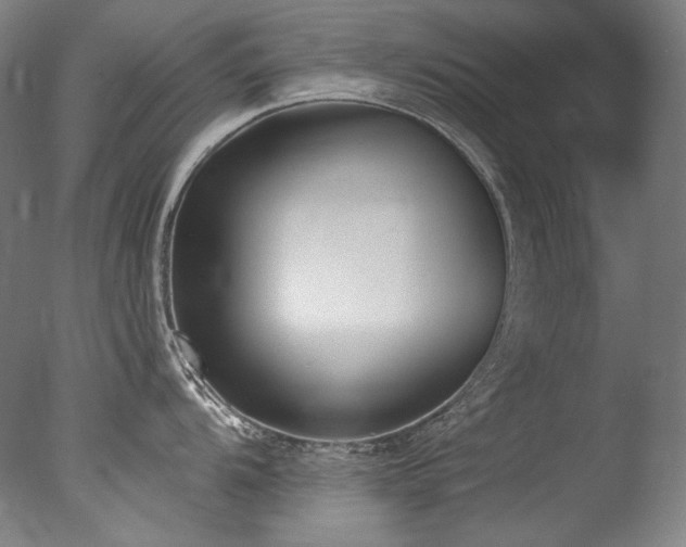 X0000077371104200610201342