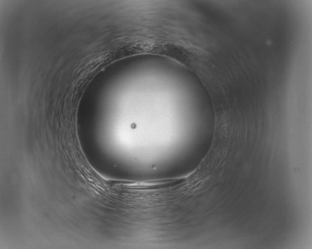 X0000077371105200610201341