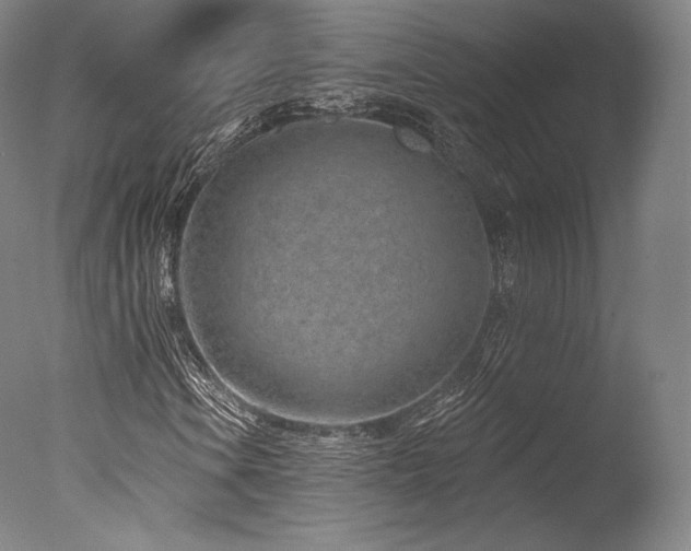 X0000077371106200610201341