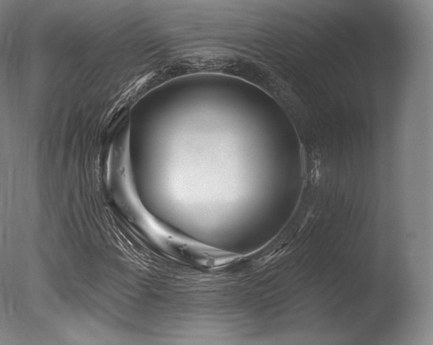 X0000077371108200610201341