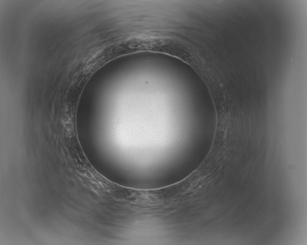 X0000077371109200610201341