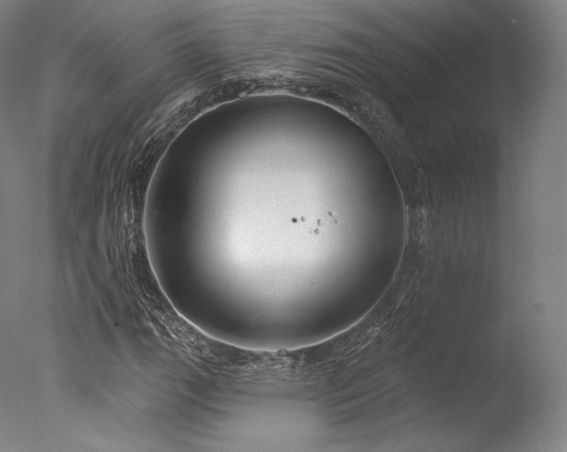 X0000077371111200610201341