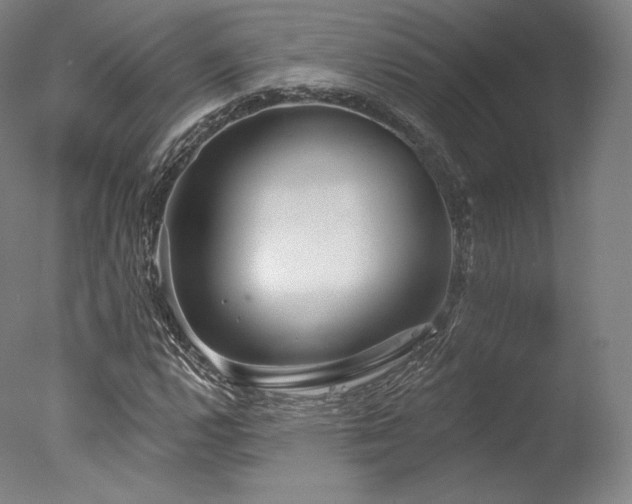 X0000077371112200610201341