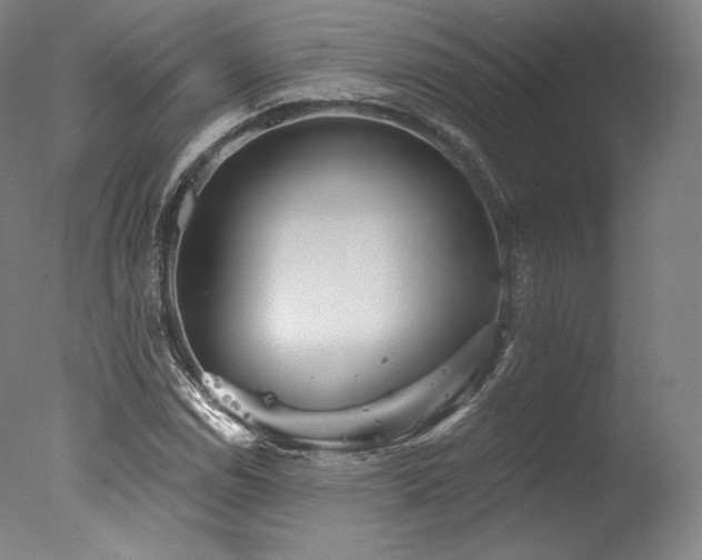 X0000077371114200610201341