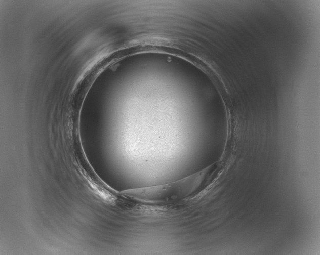 X0000077371115200610201341