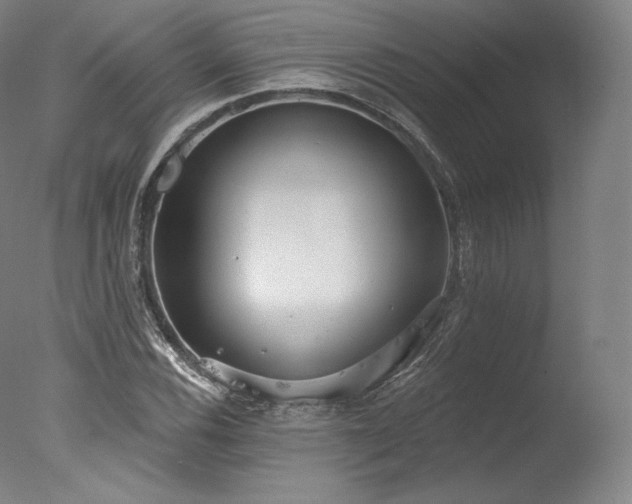 X0000077371116200610201341