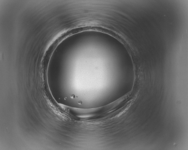 X0000077371118200610201341