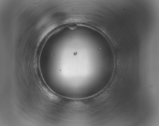 X0000077371119200610201341