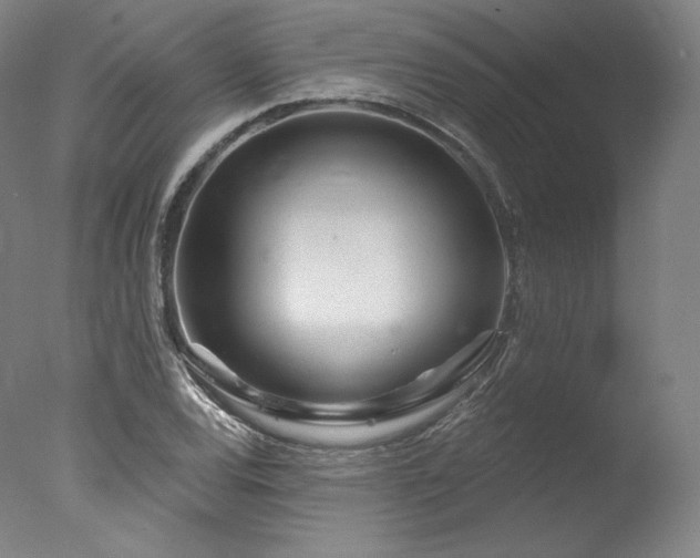 X0000077371120200610201341