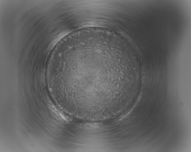 X0000077371121200610201341