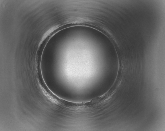 X0000077371122200610201341