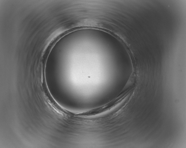 X0000077371123200610201341