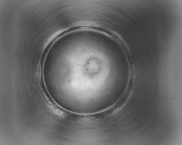 X0000077371125200610201341