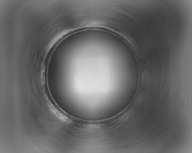 X0000077371126200610201341