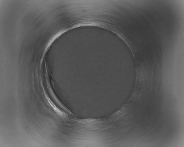 X0000077371127200610201341