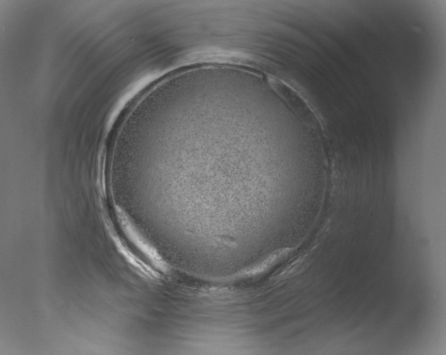 X0000077371128200610201341