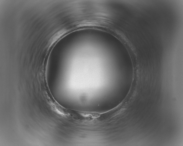 X0000077371129200610201342