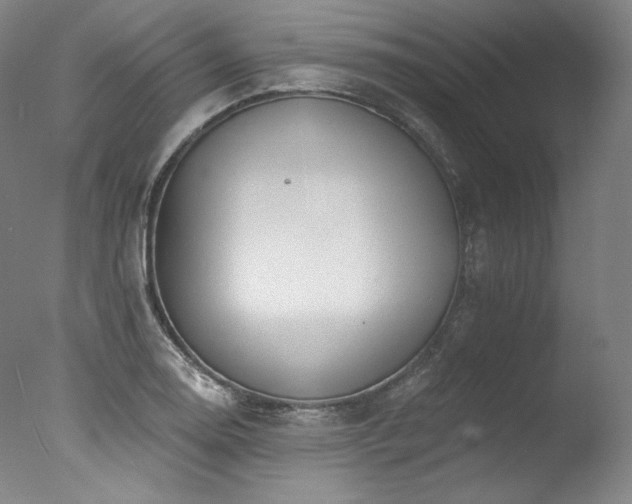 X0000077371130200610201342