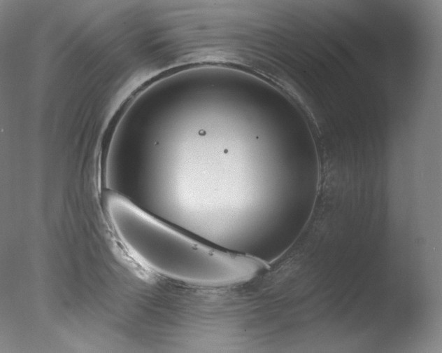 X0000077371132200610201342