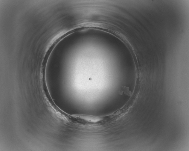 X0000077371133200610201342