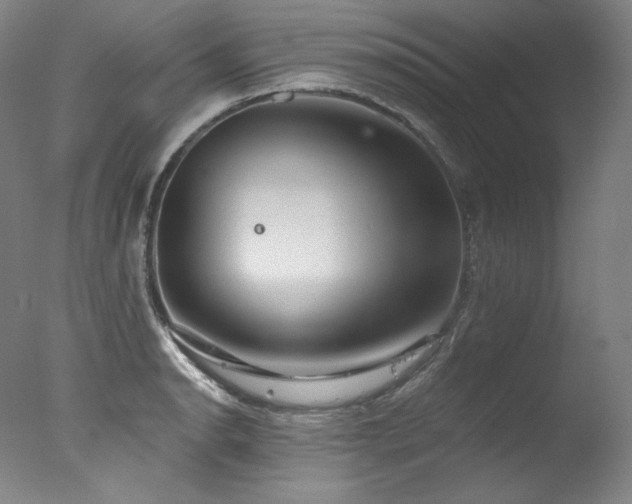 X0000077371134200610201342